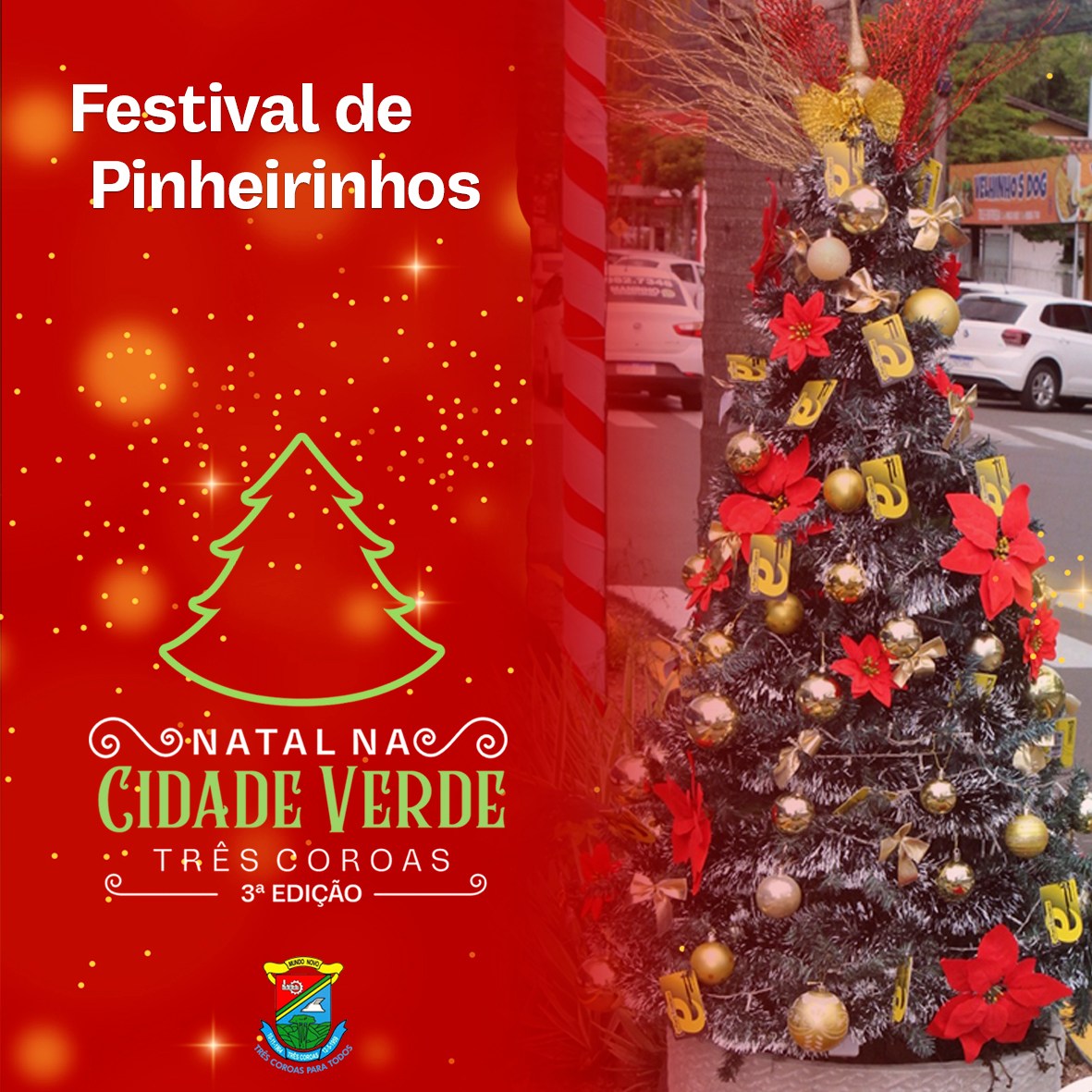 Festival de Pinheiros Natal na Cidade Verde