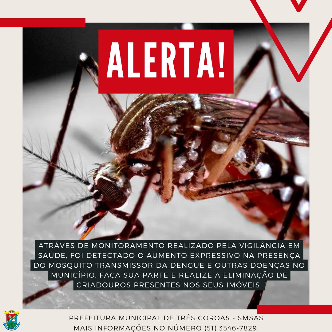 Mosquito Aedes aegypti