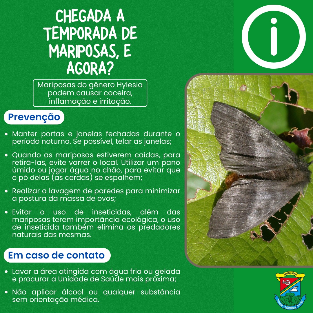 Lepidopterismo – Mariposas