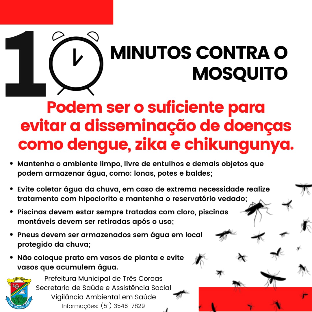 Mosquito Aedes aegypti,